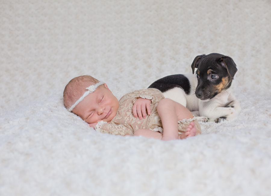Babyfotografie Celle-18